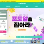 에어 서울 홈페이지 바로가기 (https://flyairseoul.com)