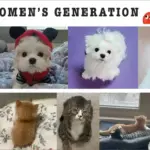 여성시대 홈페이지 바로가기 (https://cafe.daum.net/subdued20club)